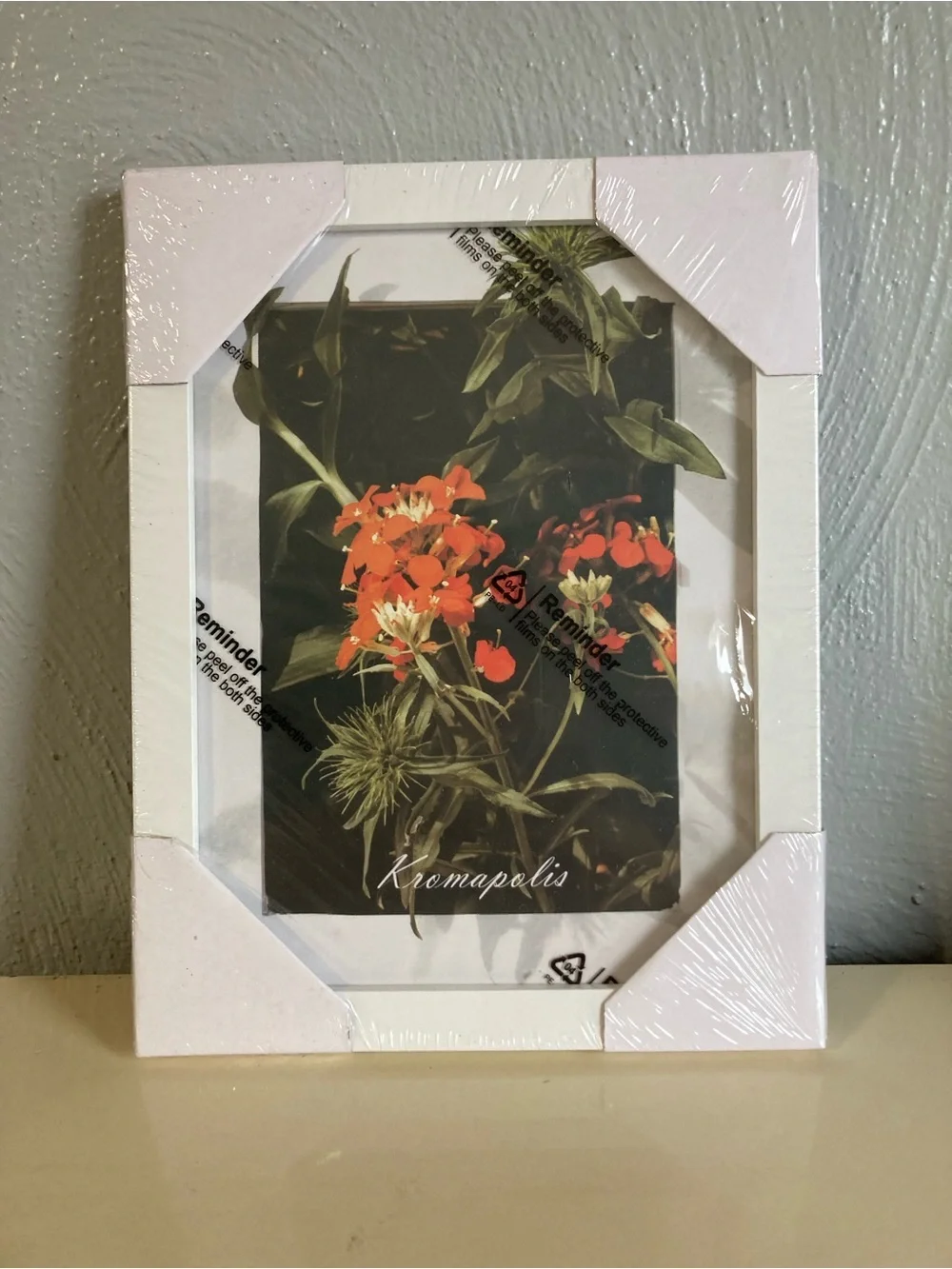 6x8, White Picture Frames, Set of 4, NEW